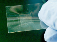 Tooth tattoos can tell when your ill, Princeton, America - Apr 2012