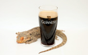Die Echse Guinness ist mit 14 Jahren dreimal so alt wie normal