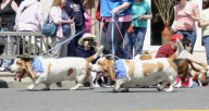 Doo Dah Parade
