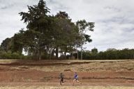 Runners train in Kenya for the upcoming Olympics