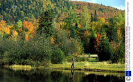 Indian Summer in the Laurentides, Quebec, Canada