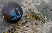 Japanese Tsunami debris wahes up on Long Beach, Tofino, Canada - 23 Apr 2012