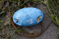 Japanese Tsunami debris wahes up on Long Beach, Tofino, Canada - 23 Apr 2012