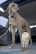 Highlights 2012 - Unsere besten Tierfotos