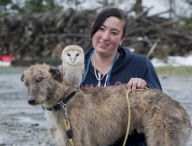 Owl likes to ride on dog's back while going for a walk at Pen y Bryn Falconry centre, Wales - 23 Apr 2012