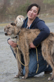 Owl likes to ride on dog's back while going for a walk at Pen y Bryn Falconry centre, Wales - 23 Apr 2012