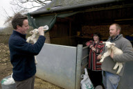 David Cameron