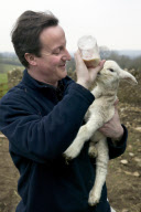 David Cameron