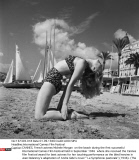International Cannes Film Festival