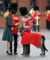 Ein Jahr Kate und William