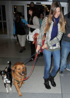 Hilary Swank Arrives at JFK Airport with her Dogs Kai and Rumi