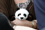 50th annual meeting of the World Wide Fund for Nature