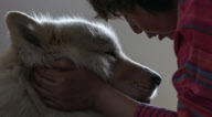 CHINA-SHENYANG-TALE OF A DOG WITH A WHEELCHAIR (CN)