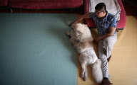 CHINA-SHENYANG-TALE OF A DOG WITH A WHEELCHAIR (CN)