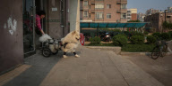 CHINA-SHENYANG-TALE OF A DOG WITH A WHEELCHAIR (CN)