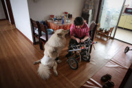 CHINA-SHENYANG-TALE OF A DOG WITH A WHEELCHAIR (CN)