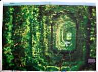 'Tunnel Of Love' private railway line in Klevan, Ukraine - 03 May 2012