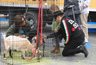 Musician Anthony Kiedis Takes His Son to a Petting Zoo