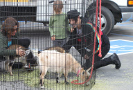 Musician Anthony Kiedis Takes His Son to a Petting Zoo