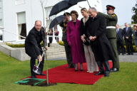 Prince Albert II of Monaco and Charlene Wittstock on state visit in Ireland