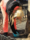 Coco-T Picks Up Dog Poop at the Dog Park