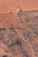 Brazil Soy vs Amazon rainforest 