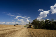 Brazil Soybean Harvest
