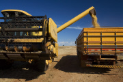 Brazil Soybean Harvest