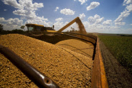 Brazil Soybean Harvest