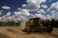 Brazil Soybean Harvest