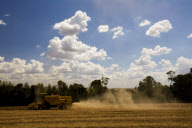 Brazil Soybean Harvest