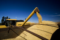 Brazil Soybean Harvest