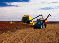 Latino News - November 18, 2010