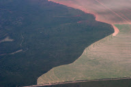 Brazil Studies Show Impact of Climate Change