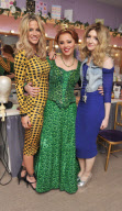 Kimberley Walsh's Shrek Final Night