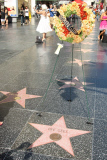 Tributes on the Bee Gee's star following the death of Robin Gibb, Hollywood Walk of Fame, Los Angeles, America - 21 May 2012