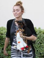 EXCLUSIVE Miley Cyrus loving up her pup!
