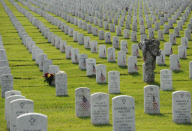 Gedenken an die Kriegstoten auf dem Arlington National Cemetery
