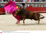 FRA : Jimenez Fortes -Pentecost feria in Nimes 2012