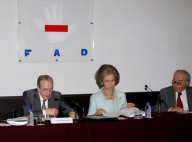 La Reina se reune con la Fundacion de ayuda contra la drogadiccion en Madrid.