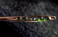 CHINA-TAIWAN-CHEN FORNG SHEAN-MINIATURE ART (CN)