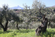 Greece - Apr 2012