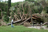 Twister ravages Venice lagoon