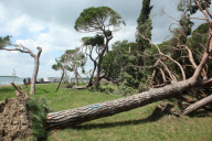 Twister ravages Venice lagoon