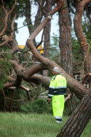 Twister ravages Venice lagoon