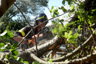 Twister ravages Venice lagoon
