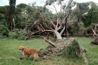 Twister ravages Venice lagoon