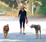 Amanda Seyfried Hikes With Her Pup