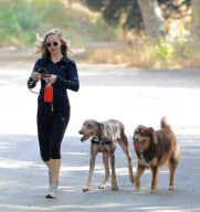 Amanda Seyfried Hikes With Her Pup