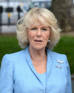 Camilla Duchess of Cornwall meets representatives of the Trust in Memoriam 2014 campaign at the Royal Artillery Memorial on Hyde Park Corner, London, Britain - 14 Jun 2012